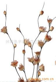 供應(yīng)葉脈花、龍柳、三叉木、龍桑、蘆葦專業(yè)指南