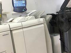 雷焰圖文設計制作 深耕上海，鑄就專業視覺與印刷服務典范